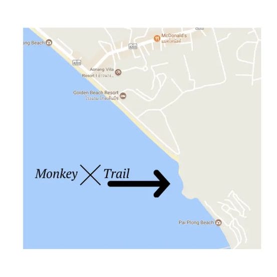 Monkey