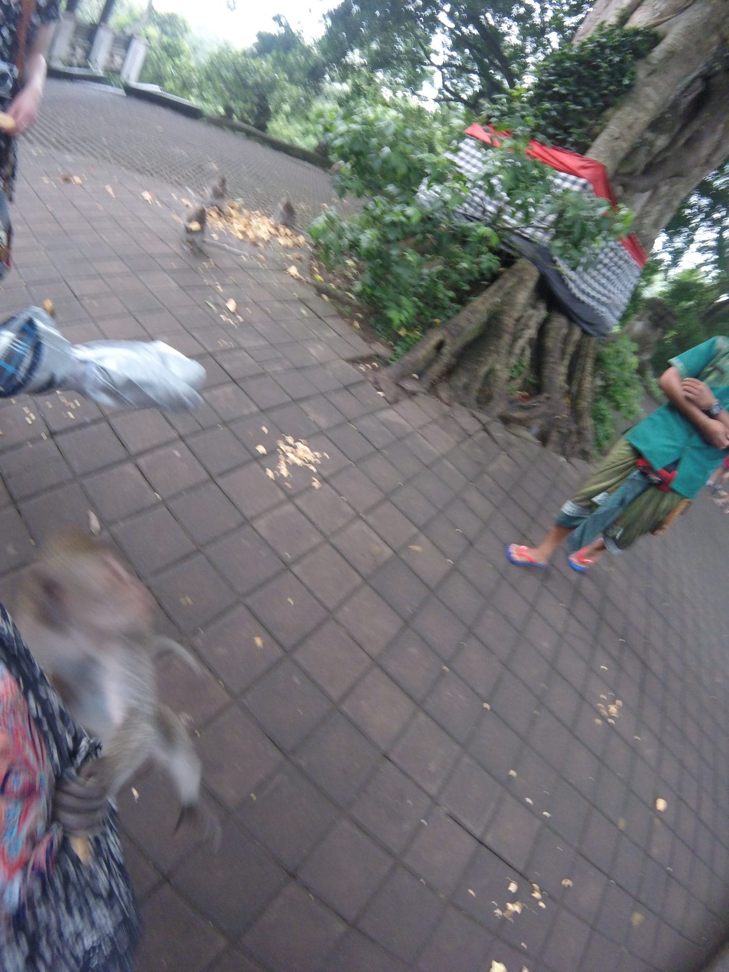 DCIM104GOPRO