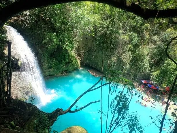 Kawasan Falls - Oslob and Moalboal