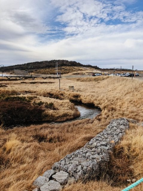 Perisher