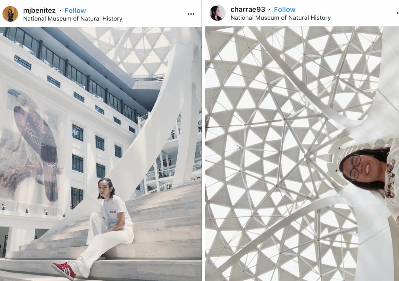 National Museum of Natural History - The Top 20 Best Instagram Locations in the Philippines!