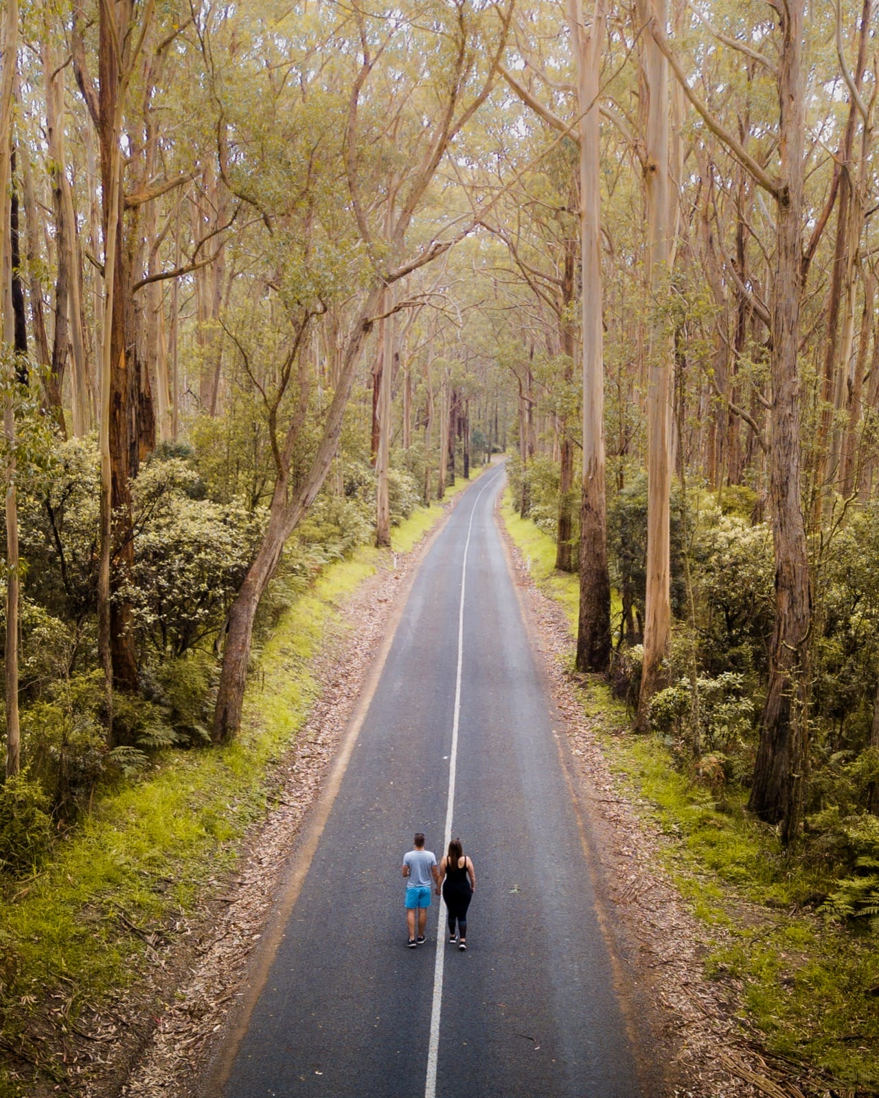 Bimbi Park The Great Ocean Road Unexplored Footsteps