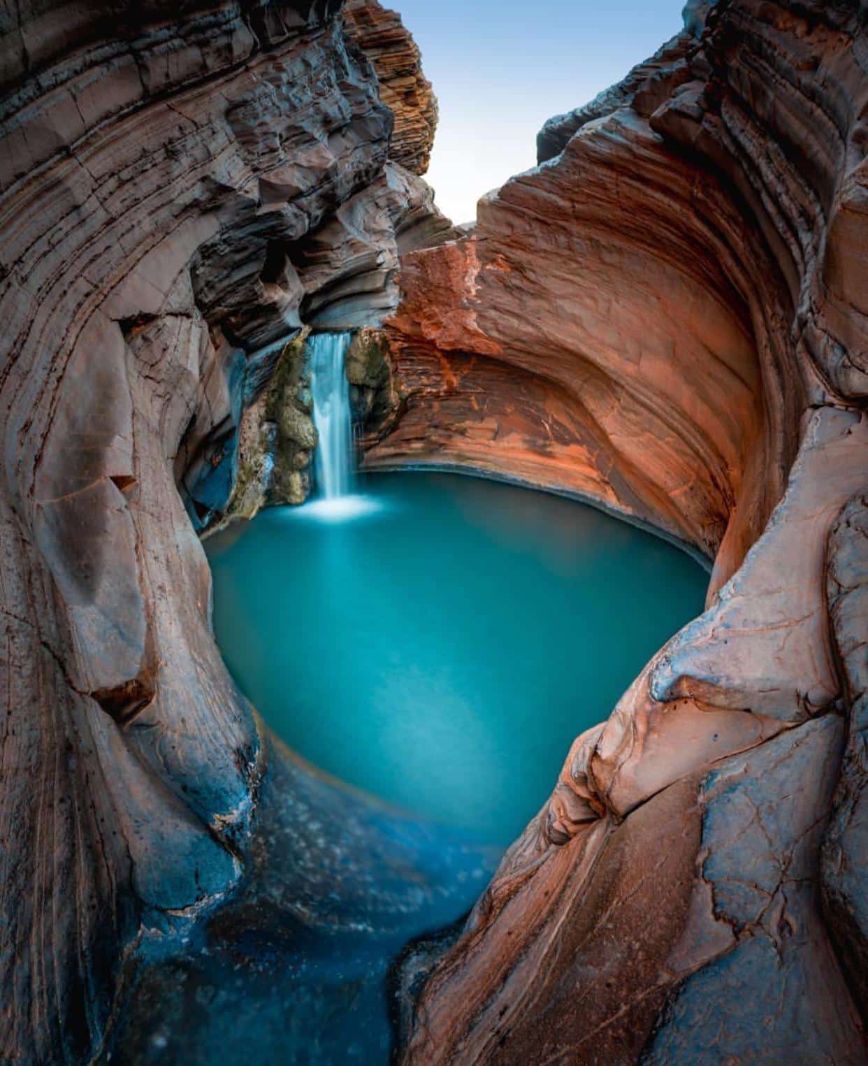 Karijini - Bugs and bear