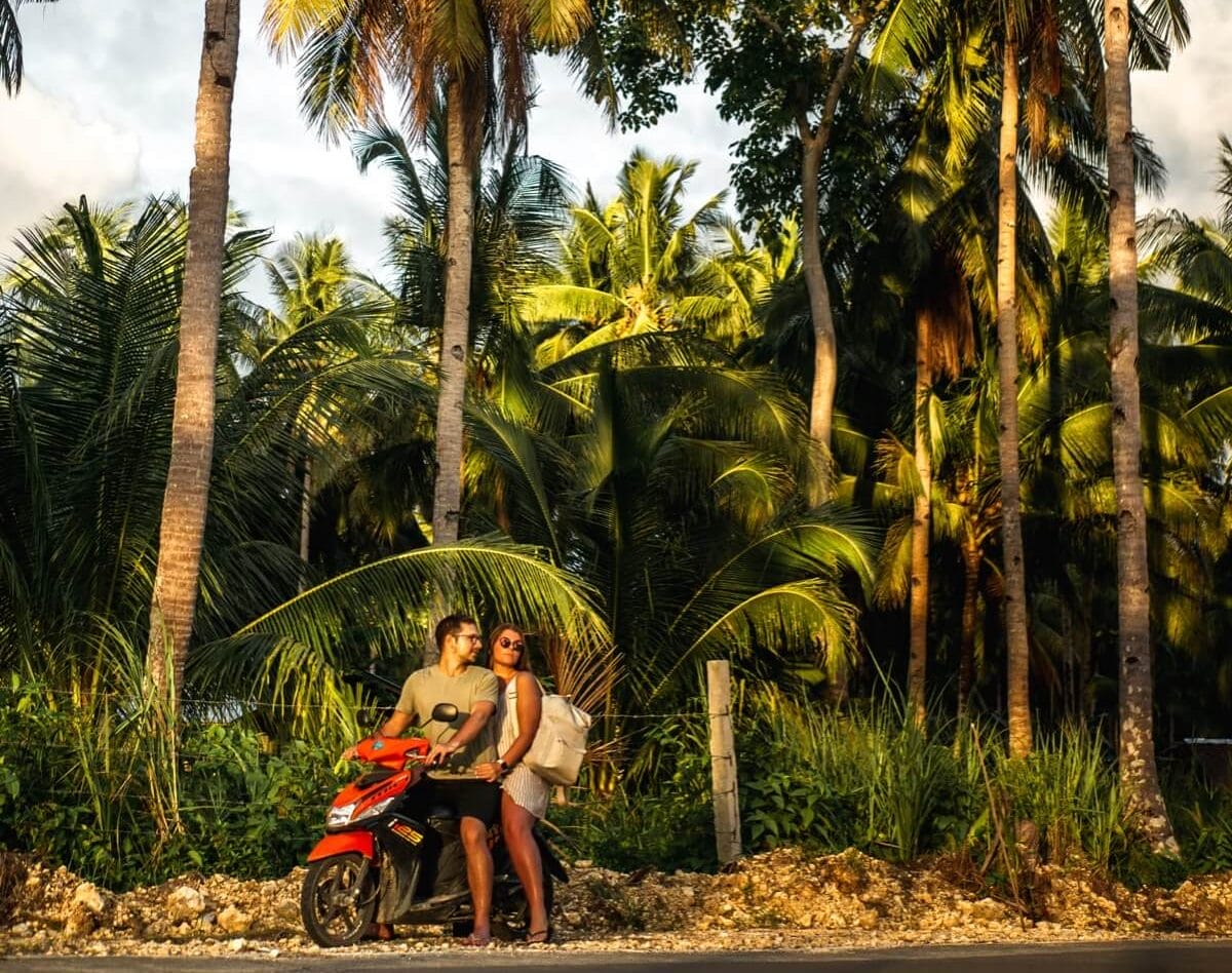 Getting Around Siargao - the palm tree road Siargao