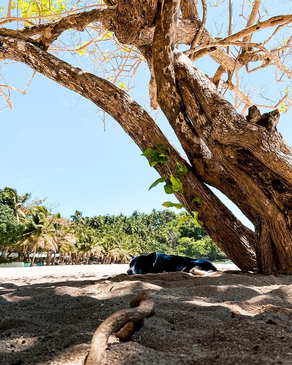 Magpupungko Beach Siargao