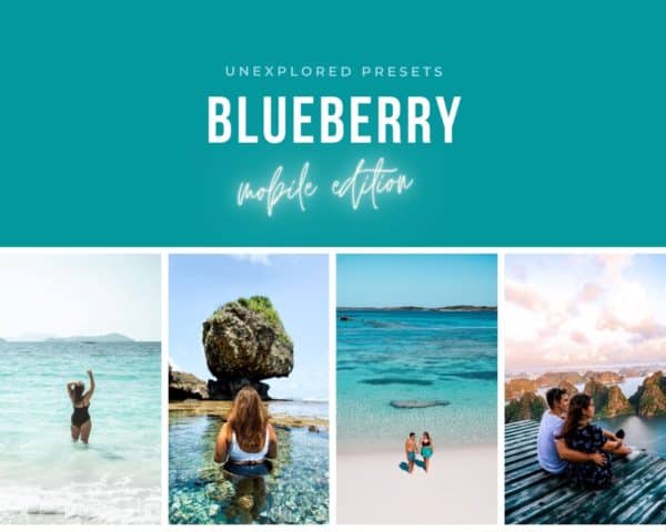 Blueberry Preset Pack – Mobile Edition